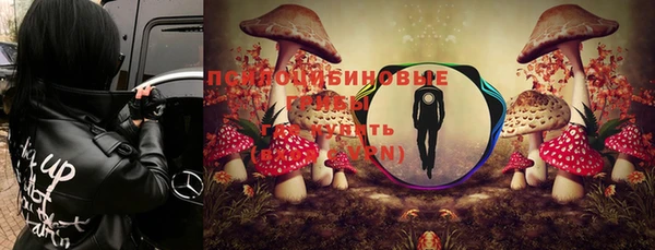 соль ск Абинск