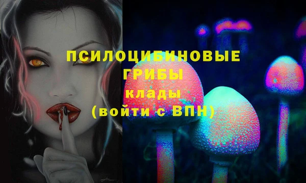 соль ск Абинск