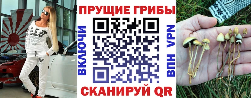 Псилоцибиновые грибы GOLDEN TEACHER  цена наркотик  Тайга 