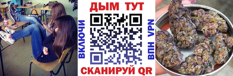 Бошки Шишки гибрид  Тайга 